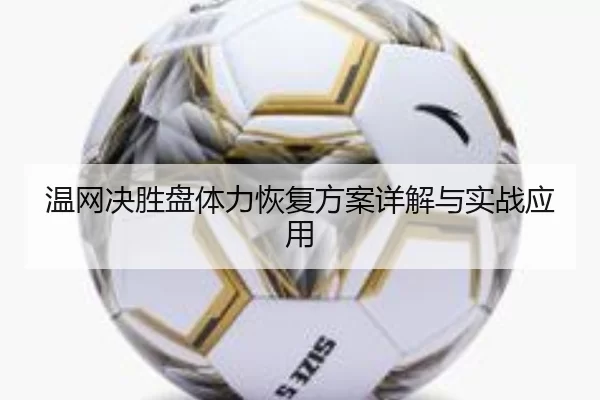 温网决胜盘体力恢复方案详解与实战应用